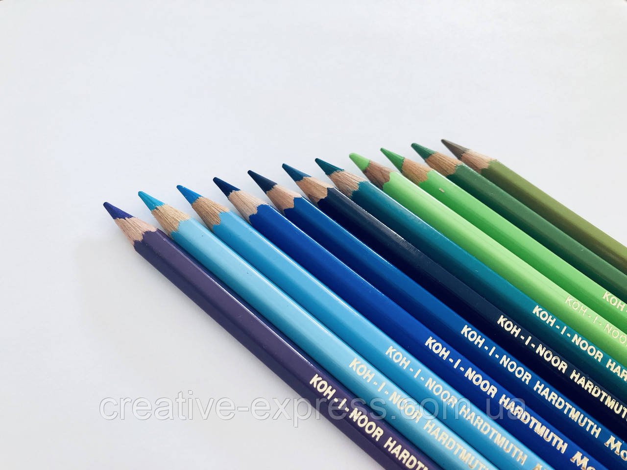 1874088888_olivtsi-kol-akvar