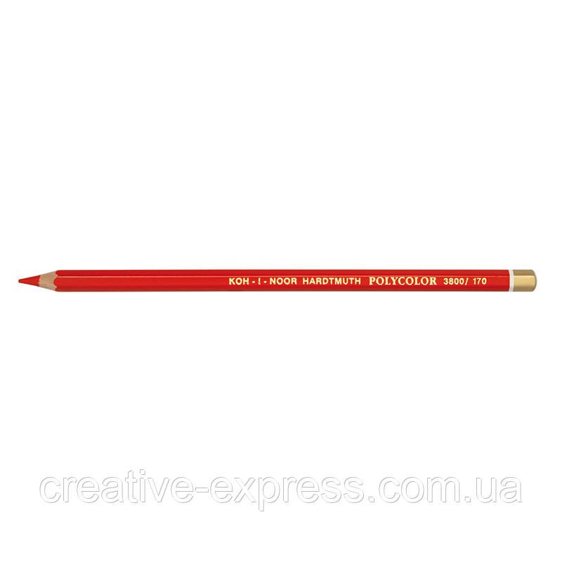 2240128035_olivtsi-hudozhpolycolor-pyrrole