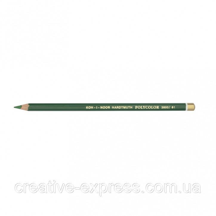 3025530949_olivtsi-hudozhpolycolor-sap