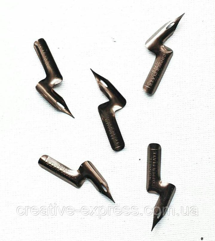 3049954840_kaligrafichne-pero-vignute