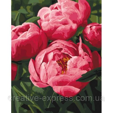 3061924185_nabir-dlya-rozpisu